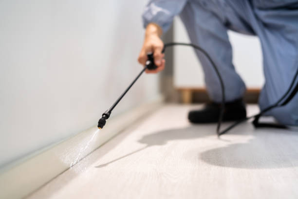 Licensed Rodent Control service in North Beach Haven, NJ - Nex Pest Control