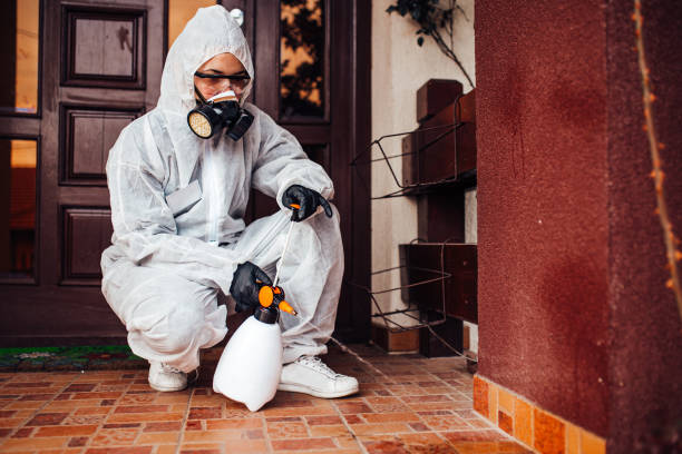 Reliable Rodent Control contractor in North Beach Haven, NJ by Nex Pest Control